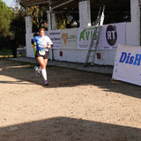 DFA06333