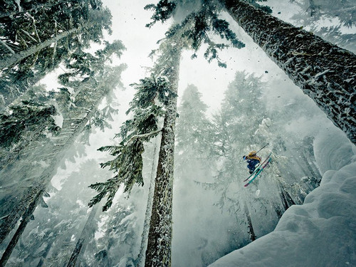 skiing epow backcountry 90528 990x742.jpg