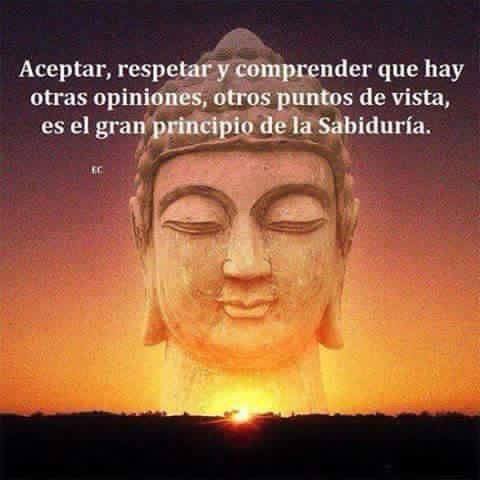 11825097 10153205140036006 7650523059308198993 n.jpg