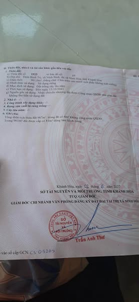 470502958 1320100232663469 6343058514145544554 n.jpg