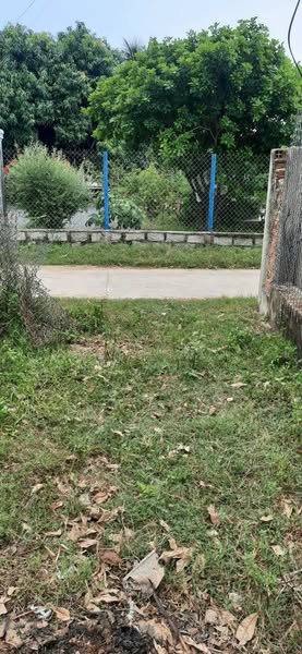 470539590 1320100205996805 2651345628740339492 n.jpg