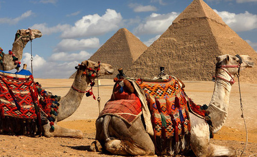 Cairo Highlights: One-Day Stopover Exploration.jpg