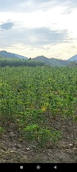 470240101 122132043248502582 7098075277875831105 n.jpg