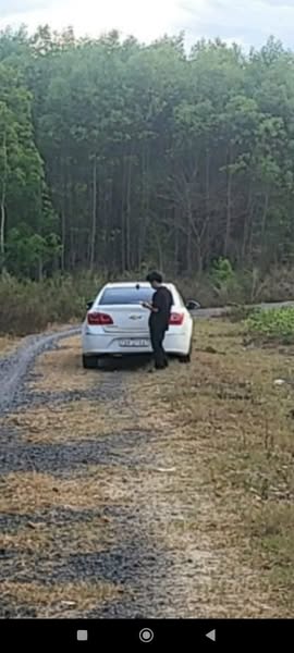 470803653 122132043290502582 6533389017317035606 n.jpg