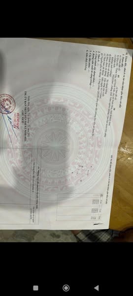 469958051 3819706628344288 3579747941442564716 n.jpg