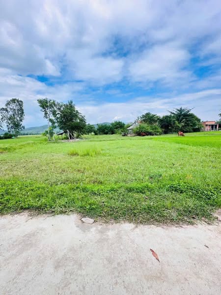 470184487 2032967673871637 2569070096544991816 n.jpg