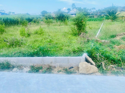 467677502 2006414969862784 4077663422378357863 n.jpg