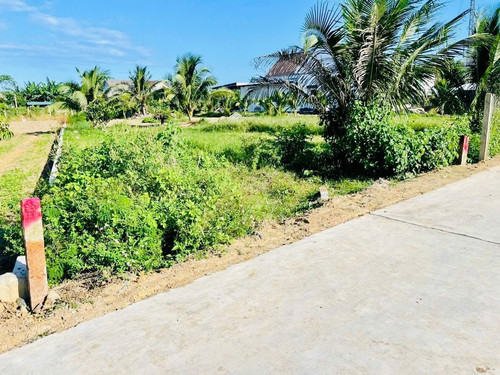 467725661 2006414699862811 2317878475389620682 n.jpg