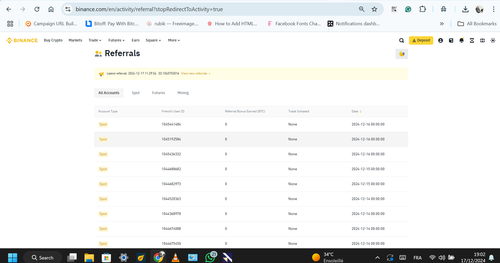 Screenshot 2024 12 17 190304.png