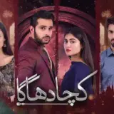 t219 kacha dhaga card