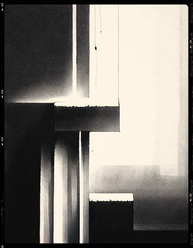 WIP 06 b&w 291224.png