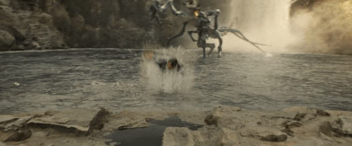 v3 481.gif