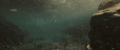 v3 443.gif