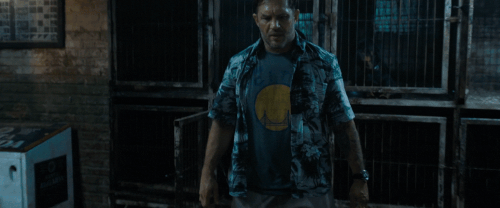 v3 339.gif