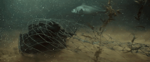 v3 456.gif