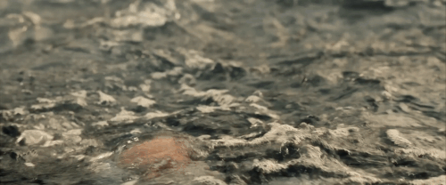 v3 477.gif