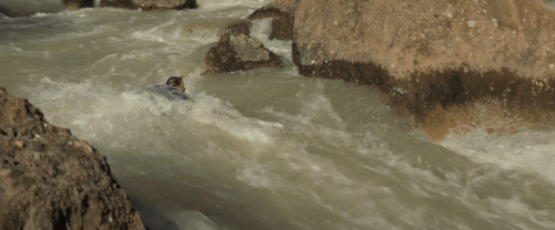 v3 449.gif