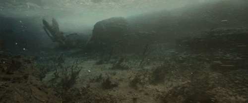 v3 446.gif