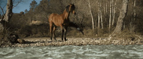 v3 441.gif