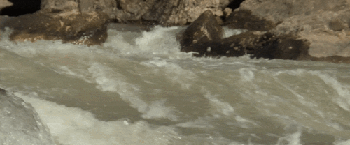 v3 458.gif