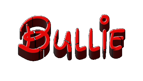 Bullie 12 28 2024.gif