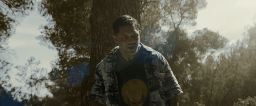 v3 395.gif