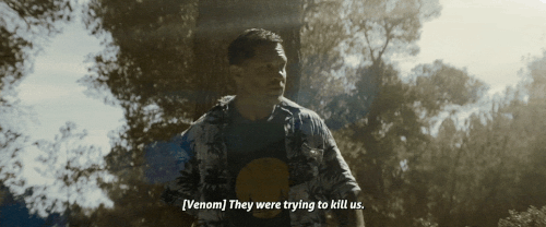 v3 396.gif