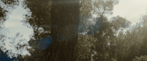 v3 394.gif
