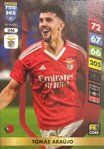 246.jpg