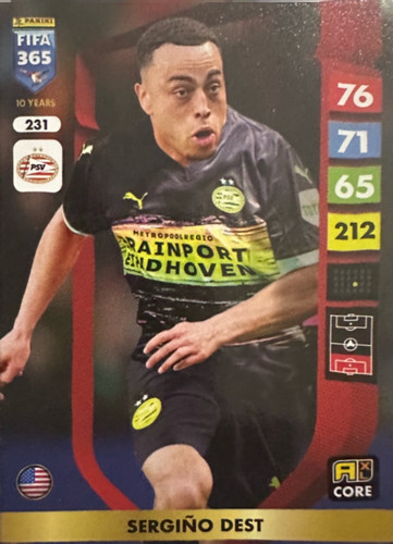 231.jpg