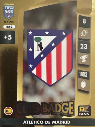 262.jpg