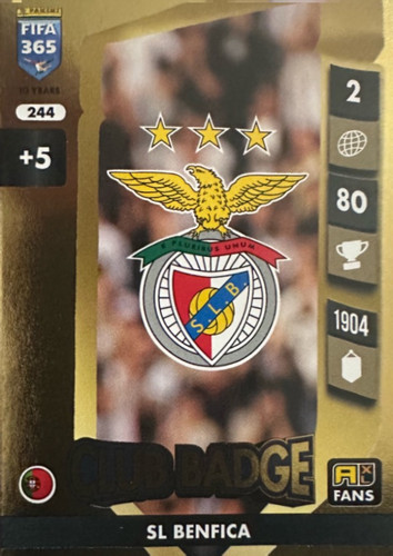 244.jpg