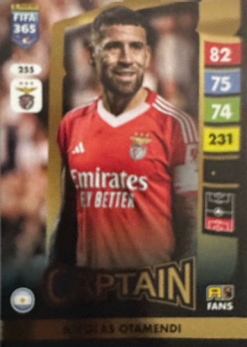 255.jpg