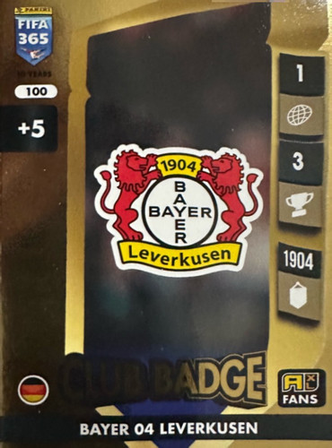 100.jpg