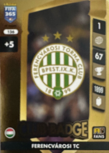 136.jpg