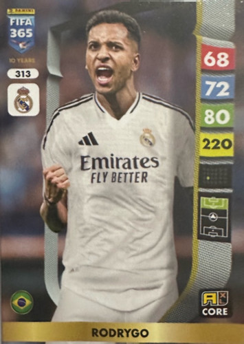 313.jpg