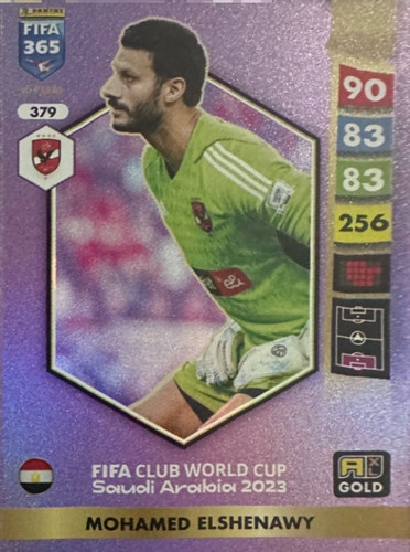 379.jpg