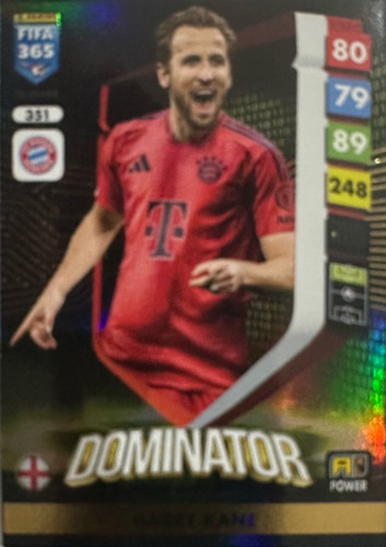 351.jpg