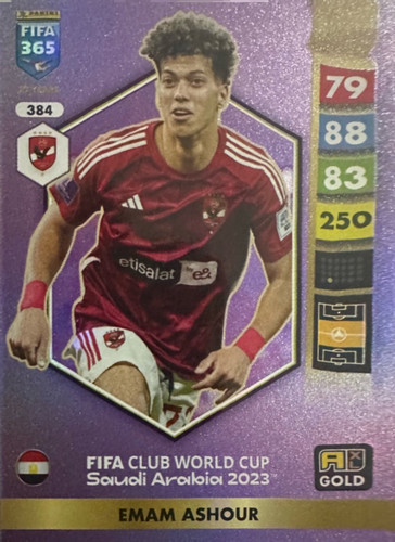 384.jpg