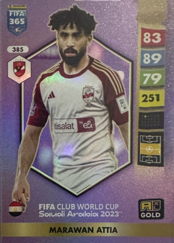 385.jpg