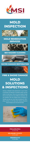 Welcome To Mold Solutions And Inspections.jpg