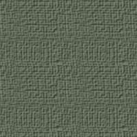 olive.jpg