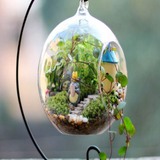 hanging terrarium.png