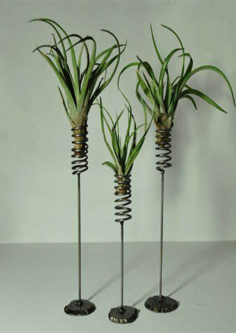 air plant spring holder.png