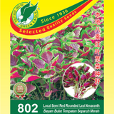 Local Semi Red Rounded Leaf Amaranth.png