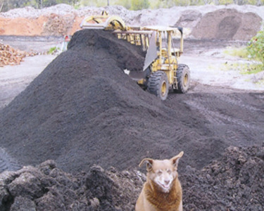 Cheap Mulch Perth.jpg