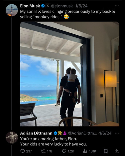 Elon Dupe Account.jpg