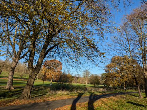 Spinney Hill Park Leicester.jpg