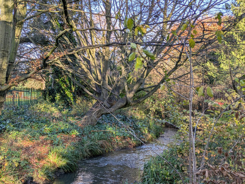 Spinney Hill Park Leicester.jpg