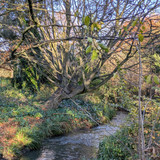 Spinney Hill Park Leicester